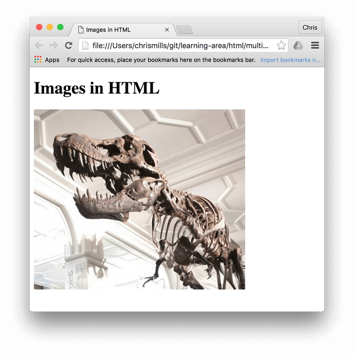 Ein einfaches Bild eines Dinosauriers, eingebettet in einen Browser, über dem "Bilder in HTML" steht