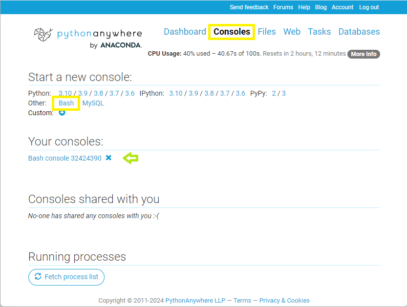 Bildschirm der Konsolenverwaltung von PythonAnywhere mit einem Pfeil, der das Öffnen einer neuen Bash-Konsole anzeigt