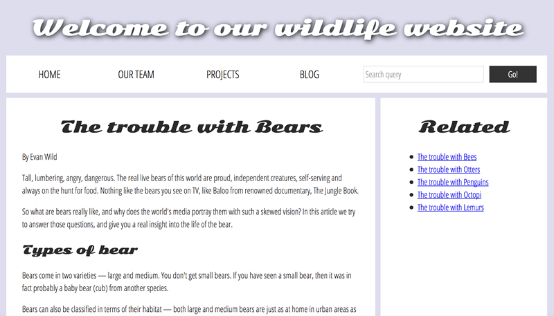 Ảnh chụp màn hình của trang thử thách hoàn chỉnh với độ tương phản màu sắc tốt. Đầu vào tìm kiếm có văn bản giữ chỗ và nút gửi với nội dung "go", nhưng không có nhãn hiển thị.