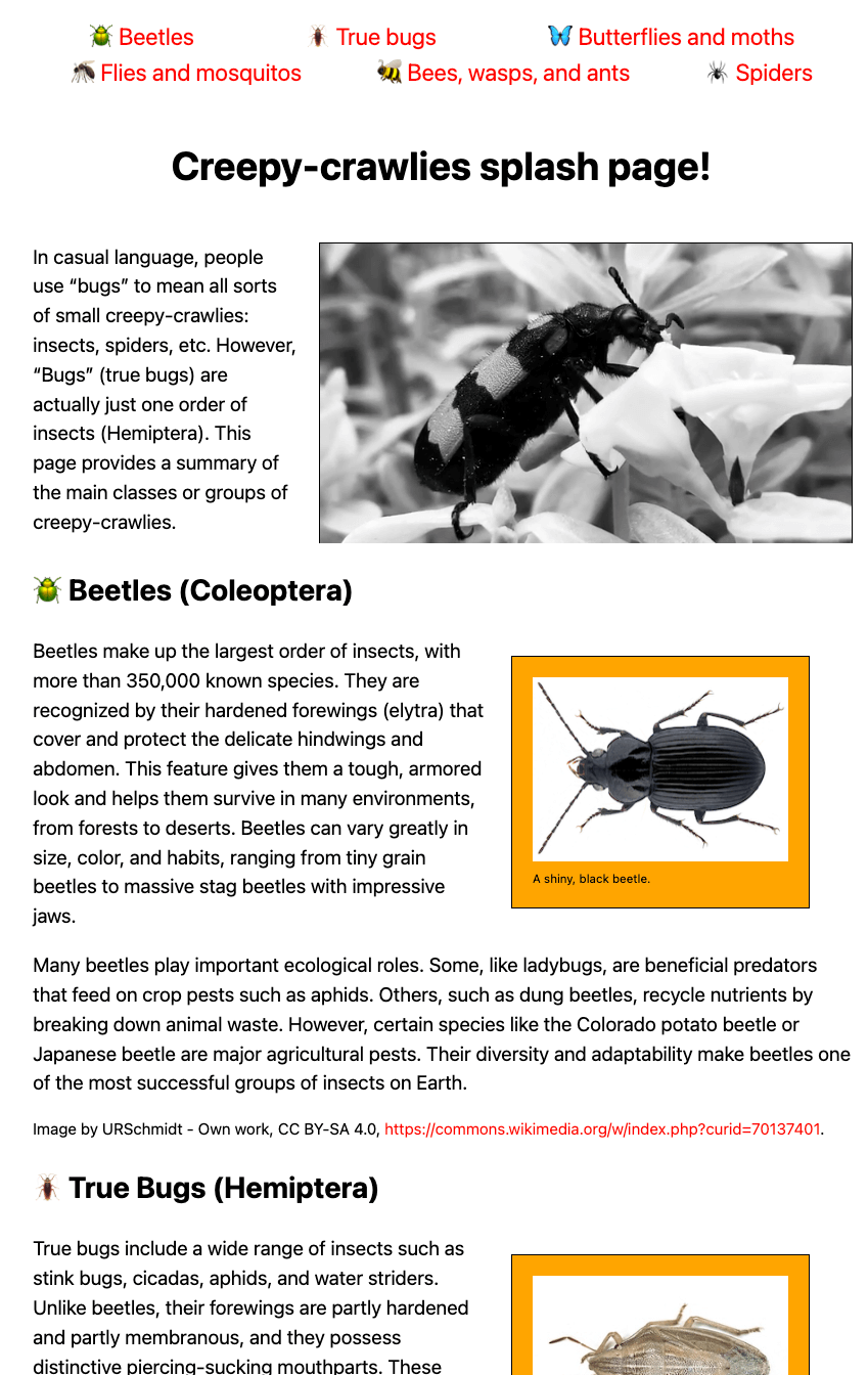 Trang splash ví dụ của chúng tôi