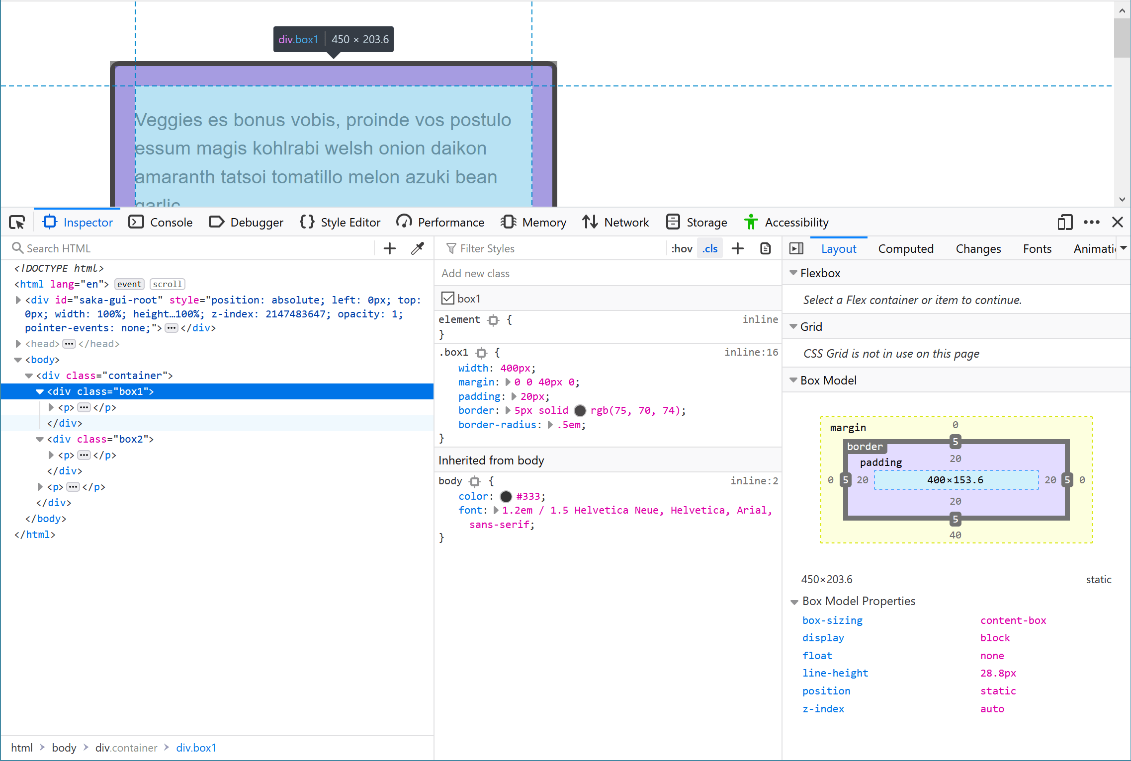 Phần Layout của DevTools