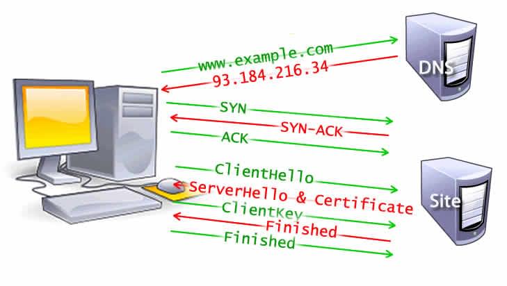 Tra cứu DNS, bắt tay TCP, và 5 bước của bắt tay TLS gồm client hello, server hello và certificate, client key và finished cho cả server lẫn client.