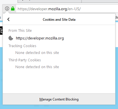 Thông tin trang hiển thị cookie và dữ liệu trang web.